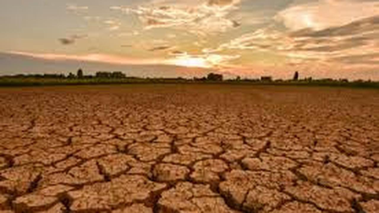 Ilustrasi Kekeringan (Istimewa)