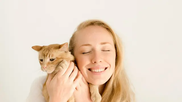 Kucing Kebanjiran