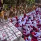 Guru membagikan ompreng Makan Bergizi Gratis (MBG) di SDN Meruyung, Depok, jawa Barat, Senin, 13 Juli 2007. (KLY/ Arie Basuki)
