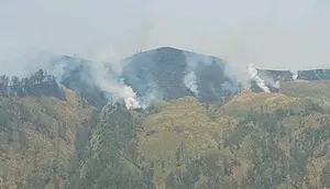 Kebakaran Tak Surutkan Minat Wisatawan ke Bromo