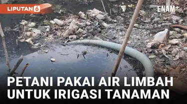 Terdampak Kekeringan, Petani di Brebes Gunakan Air Comberan untuk Airi Tanaman Bawang