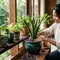 10 Cara Mempercantik Ruangan dengan Tanaman, Bikin Rumah Lebih Asri dan Tidak Membosankan