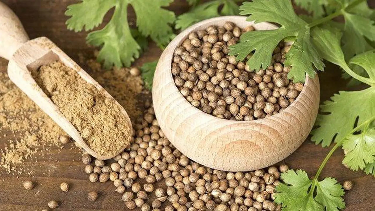 Minuman Herbal Biji Ketumbar