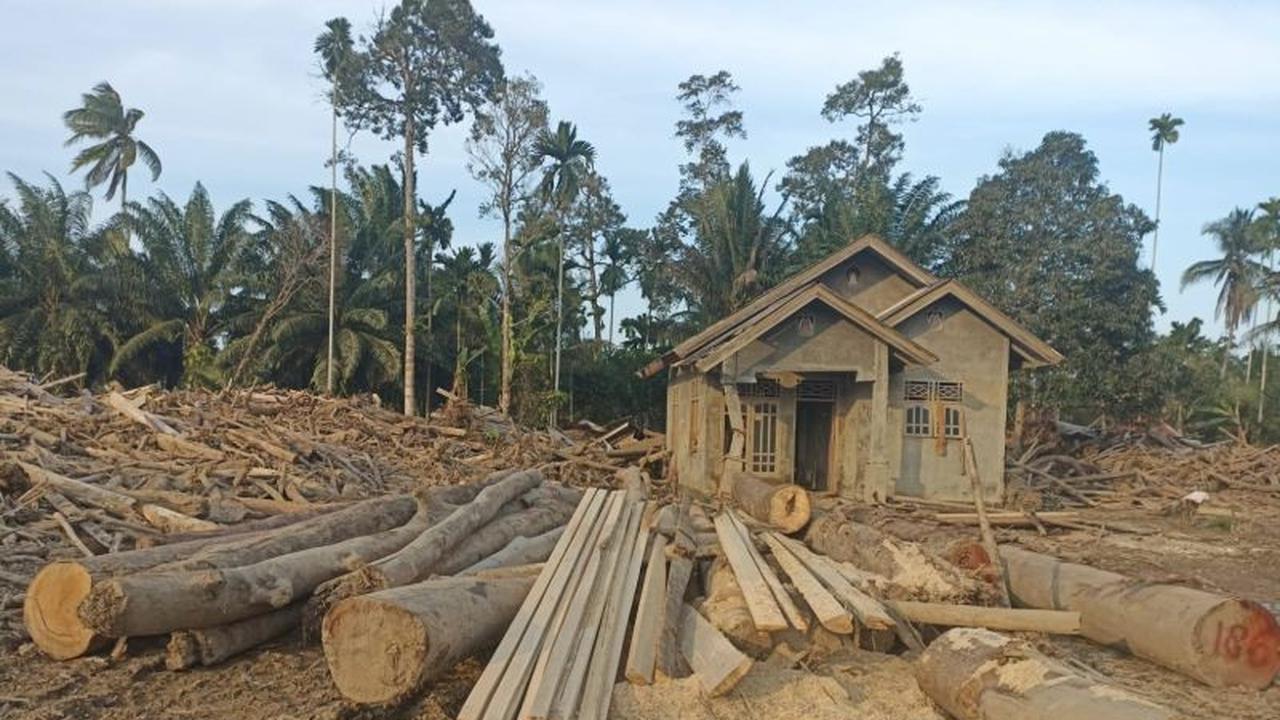 Kementerian Kehutanan Data 1.260 Meter Kubik Kayu Hanyut untuk Pemanfaatan di Aceh Utara