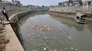 Jasa perahu getek saat mengantar warga menyeberangi Kali Ciliwung yang tengah dipenuhi sampah, Jakarta, Selasa (4/9). Sampah yang mencemari Kali Ciliwung terjadi dari hulu hingga hilir. (Merdeka.com/Iqbal Nugroho)