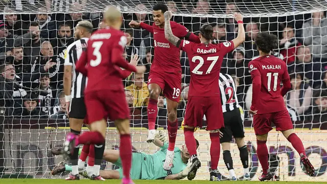 Foto: Gakpo Mulai Nyaman, Klopp Pun Aman