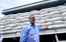 Stok Beras RI Tembus 4,6 Juta Ton, Siap Hadapi El Nino Godzilla dan Krisis Global