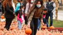 Para pengunjung memilih labu di sebuah festival labu, atau dikenal sebagai Pumpkinfest, di Lincolnshire, Illinois, Amerika Serikat (AS), pada 17 Oktober 2020. Belakangan ini, banyak kota di Illinois menggelar festival labu menjelang perayaan Halloween. (Xinhua/Joel Lerner)