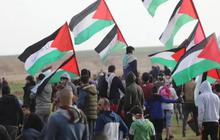 Gerakan Gobal, Puluhan Ribu Orang dari 54 Negara Berkonvoi Menuju Gaza Bawa Bantuan Kemanusiaan