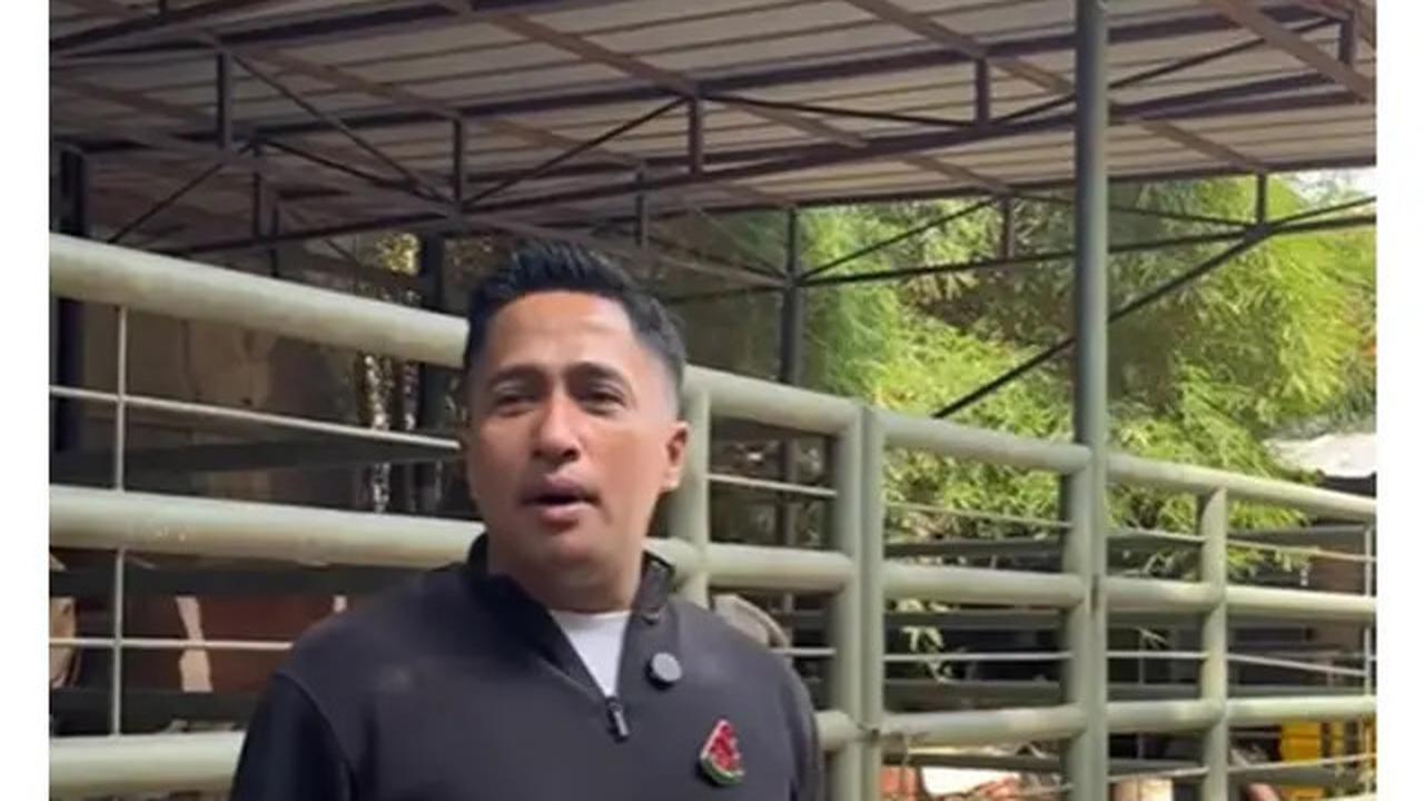 7 Artis Kurban Sapi di Idul Adha 2025, Raffi Ahmad hingga Ruben Onsu