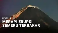 Merapi Erupsi, Semeru Terbakar