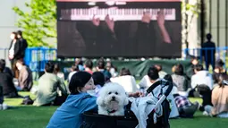 Seekor anjing melihat keluar sebagai layar yang menampilkan duo piano Les Frères memainkan konser "The Pianist Special", dimainkan di dalam ruangan dan secara bersamaan disiarkan ke area terbuka pusat perbelanjaan di Tachikawa, Tokyo (11/4/2021). (AFP Photo/ Philip Fong)