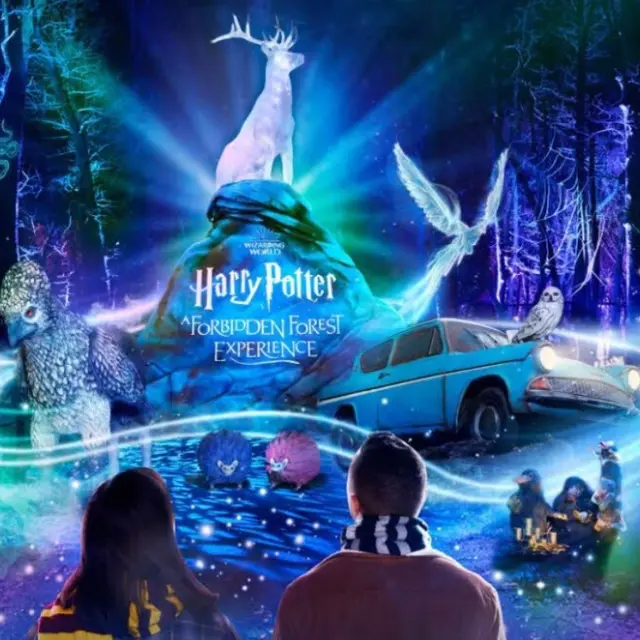Wahana Harry Potter: A Forbidden Forest Experience di Singapura