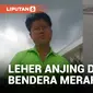 Pria di Bengkalis Diciduk Usai Pasang Bendera Merah Putih di Leher Anjing