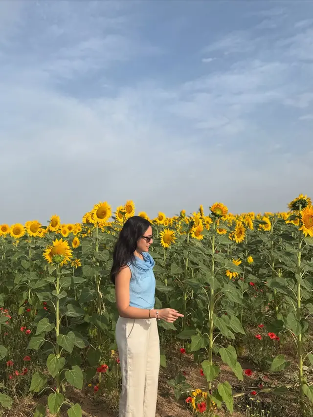 Gaya Kasual Stylish Pevita Pearce Berpose di Taman Bunga Matahari, Simpel tapi Tetap Memesona