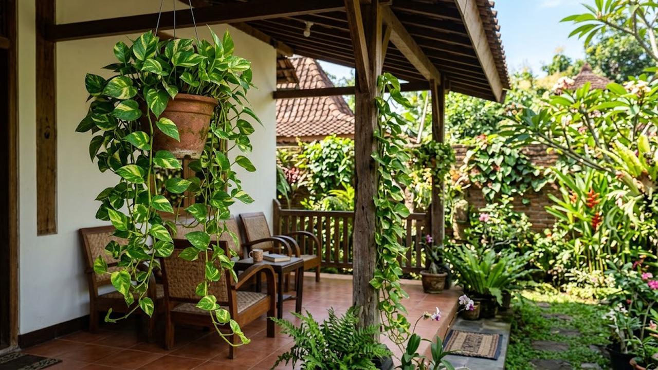 Epipremnum Aureum/AI Generated