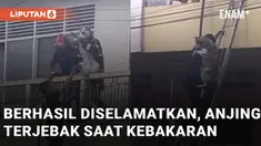 Seekor anjing terjebak di dalam rumah saat kebakaran mengundang perhatian