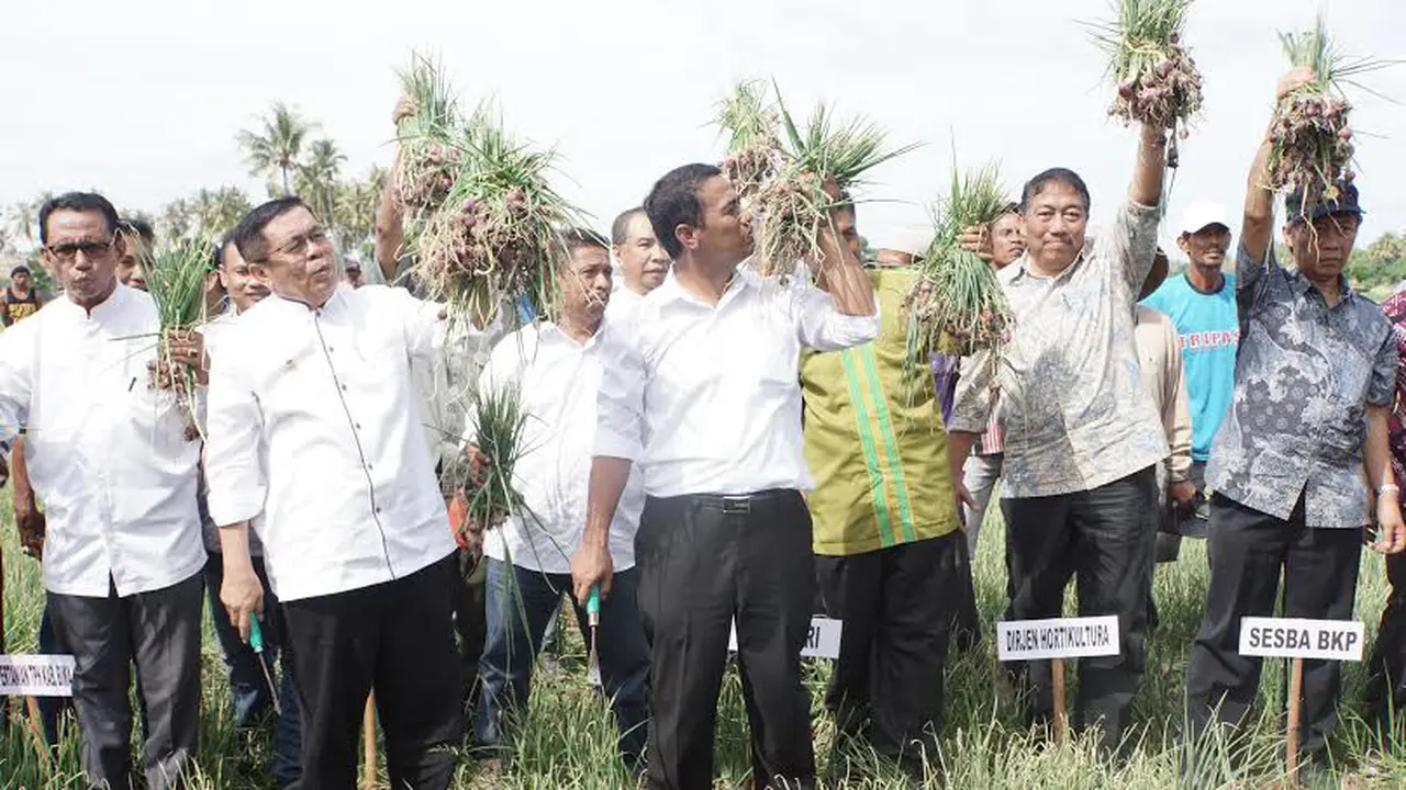 Mentan: Pasokan Bawang Meah Dipenuhi dari Dua Sentra Produksi