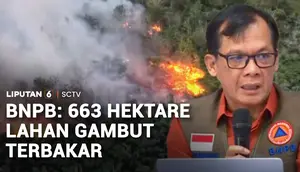 663 Hektare Lahan Gambut Masih Terbakar, Pemerintah Tambah Puluhan Ribu Personel