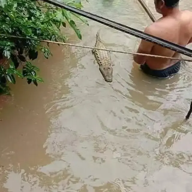 6 Momen Apes Orang di Sungai Ini Bikin Elus Dada, Gagal Main Air