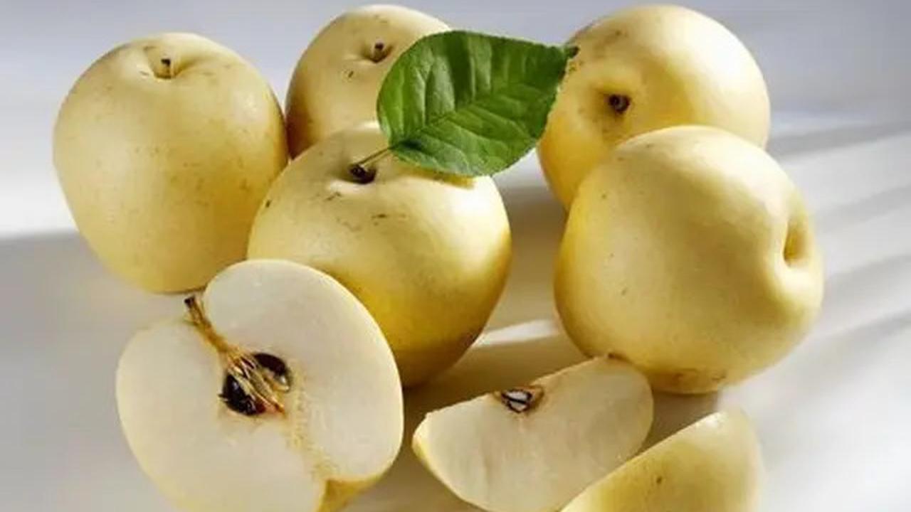 Minuman Herbal untuk Turunkan Kolesterol dan Darah Tinggi dari Buah Pir