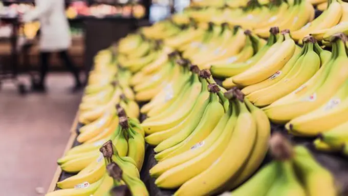 Copyright pexels.com/gratisography