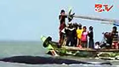 liputan6