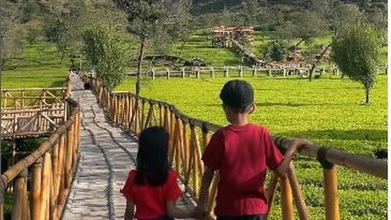 Kebun Teh Sikatok