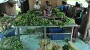 Sejumlah pentani mengolah hasil panen sayuran jenis Caisim di Teluk Naga, Kabupaten Tangerang, Kamis (20/4). Hasil bertani tersebut biasanya dijual keseluruhan wilayah Tangerang, Jakarta dan pasar swalayan. (Liputan6.com/Helmi Afandi)
