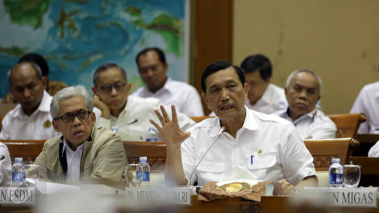 Pelaksana tugas Menteri Energi Sumber Daya Mineral (ESDM) Luhut Binsar Panjaitan
