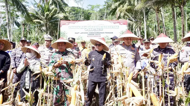 Bagian dari Gerakan Penanaman Jagung Serentak 1 Juta Hektar