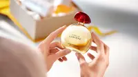 L'Occitane menghadirkan perpaduan aroma maskulin dan feminin dalam Terre de Lumiere (Foto: L'Occitane)