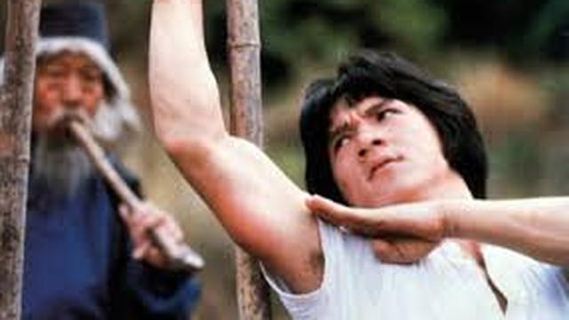 Snake in the Eagle's Shadow (1978)