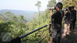 Para fotografer sedang mengambil foto Owa Jawa di Taman Nasional Gunung Pangrango, bohor, Jawa Barat, (24/11). Yayasan Owa Jawa bersama  PT Pertamina EP juga melakukan konservasi bagi hewan yang terancam punah tersebut. (Liputan6.com/Herman Zakharia)