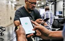 WhatsApp Perkenalkan Fitur Mention dan Like