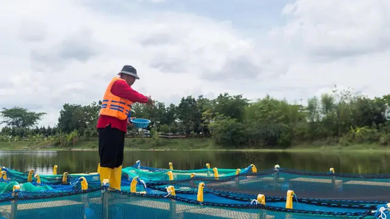 Semen Indonesia Serap 20 Ribu Tenaga Kerja Lewat Program Ini