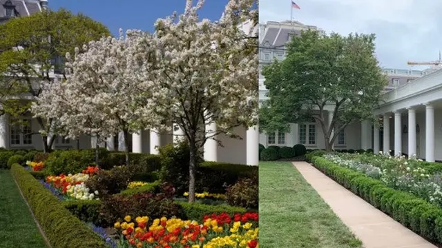 Renovasi Taman Gedung Putih