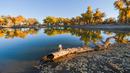 Foto yang diabadikan pada 18 Oktober 2020 ini menunjukkan pemandangan musim gugur di hutan poplar gurun (populus euphratica) di Wilayah Ejin, Daerah Otonom Mongolia Dalam, China utara. (Xinhua/Lian Zhen)