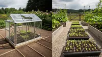 Greenhouse Mini vs Menyemai Tanpa Penutup, Mana Lebih Efektif?