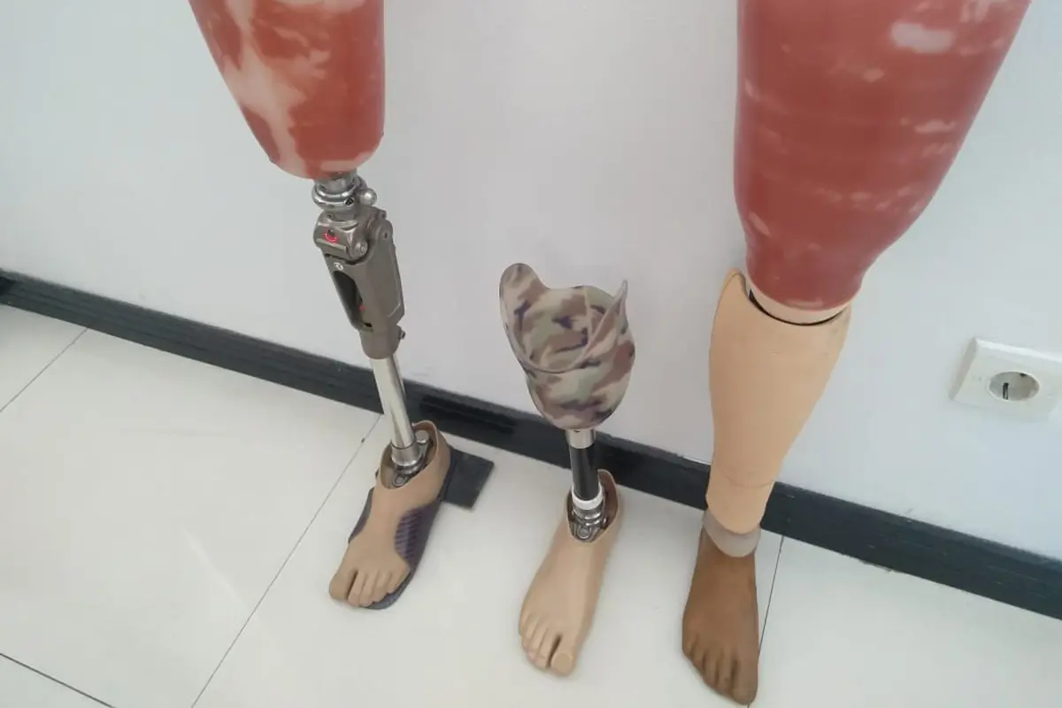 Kaki Palsu
