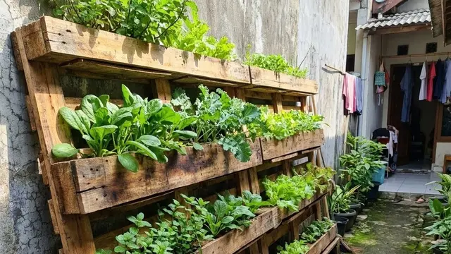 Model Kebun Sayur Rumah Urban Farming