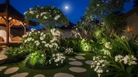 11 Tanaman yang Cocok untuk Ide Moon Garden, Taman Cantik dan Bercahaya di Malam Hari