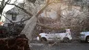 Sebuah pohon yang membeku tumbang di seberang jalan saat badai musim dingin di West Orange, New Jersey (18/12/2019). Badai musim dingin membawa malapetaka ke New Jersey ketika es menyebabkan pemadaman listrik dan menumbangkan pohon di seluruh wilayah tersebut. (Rick Loomis/Getty Images/AFP)