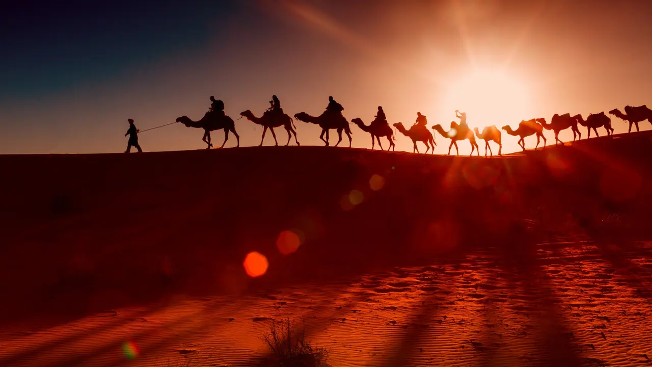 Bahlul Artinya dalam Bahasa Arab dan Kosakata Sehari-hari Lainnya - Hot