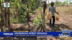 Fokus edisi (28/07) mengangkat beberapa topik pilihan di antaranya, Kebakaran Lahan dan Hutan Dekati Jalan Tol, Bantal Sandaran Kursi Kereta Whoosh Dicuri, Menikmati Musim Panas di Seoul, Korea Selatan,  Kapal Motor Tenggelam, Tiga Meninggal Dunia.