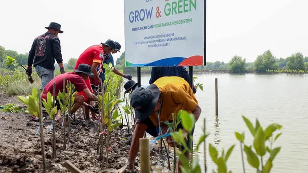 Hari Mangrove Sedunia 2025, BRI Tunjukkan Aksi Nyata Selamatkan Ekosistem Pesisir Muara Gembong Bekasi Lewat BRI Menanam - Grow &amp; Green