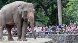 Pengunjung melihat gajah di Ragunan, Jakarta, Minggu (25/12). Harga tiket masuk yang murah menjadi salah satu alasan pengunjung memilih Ragunan sebagai tempat rekreasi bersama keluarga. (Liputan6.com/Helmi Afandi)