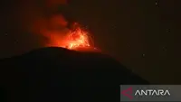 Gunung Ile Lewotolok Erupsi 2 Kali Pagi Ini, Terdengar Dentuman