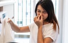 Awas! Daftar Makanan ini Bikin Keringat Jadi Tidak Sedap