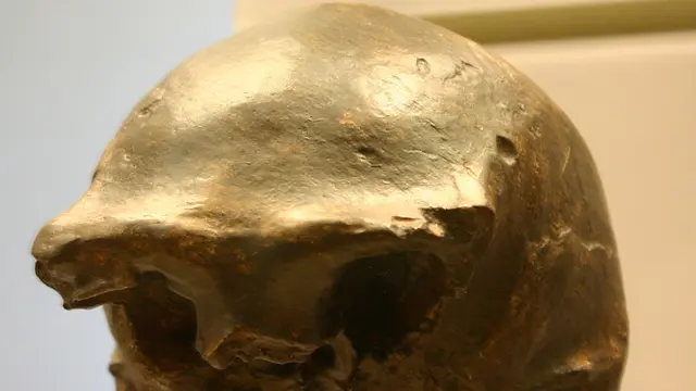 Ilustrasi Manusia Purba Homo Soloensis (Sumber : Insanpelajar)